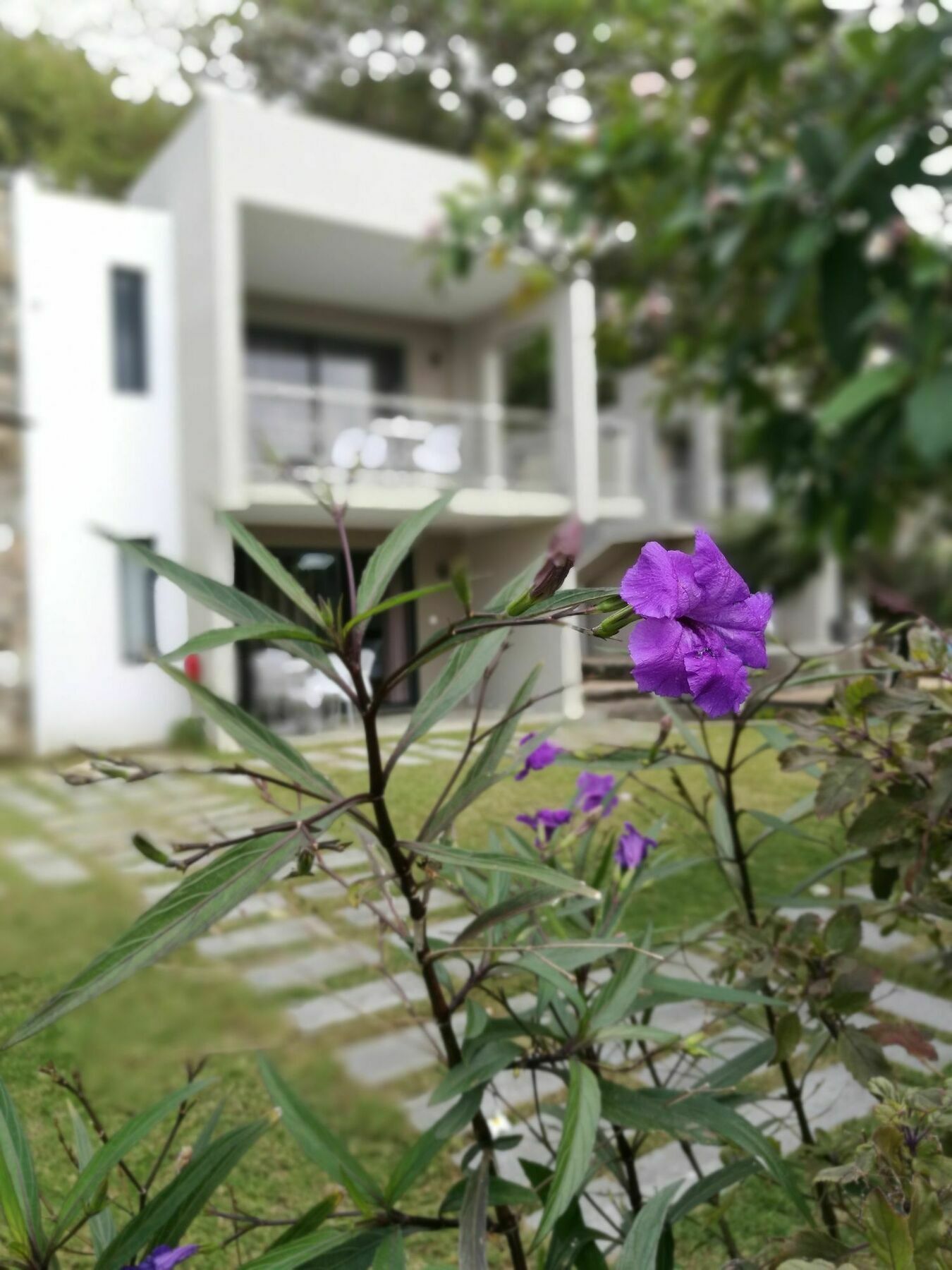 Valmarin Seafront Apartments 트루 도 두스 외부 사진